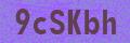 CAPTCHA Security Image